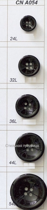 CN A054