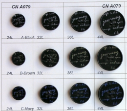 CN A079
