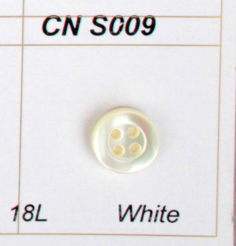 CN s009